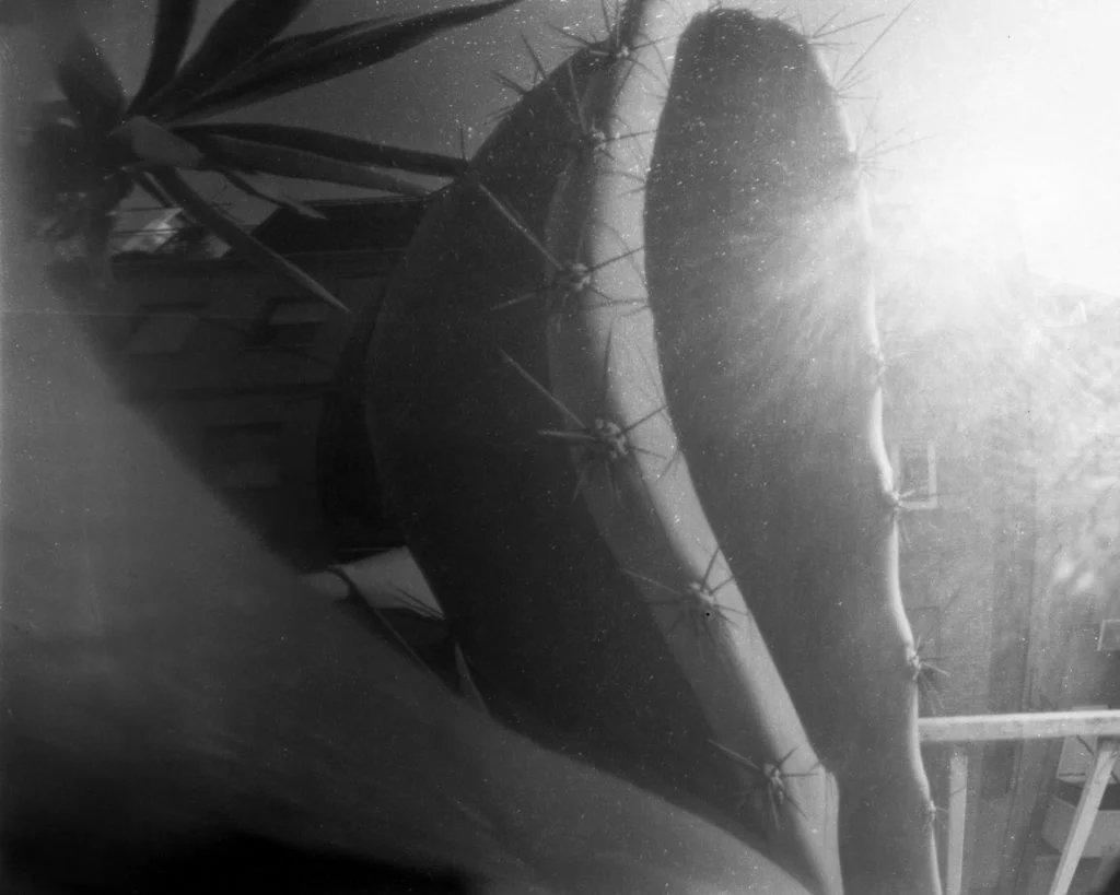 Pinhole anamorphic photograph made with Guinness beer can